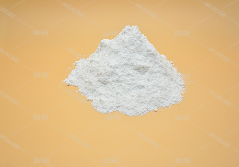 谷氨酸钠 Sodium Glutamate